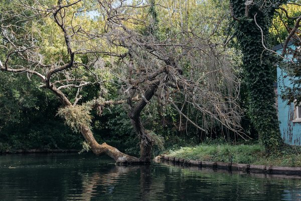 Quel est le tarif d'une séance de coaching de vie ? Découvrez les coûts !